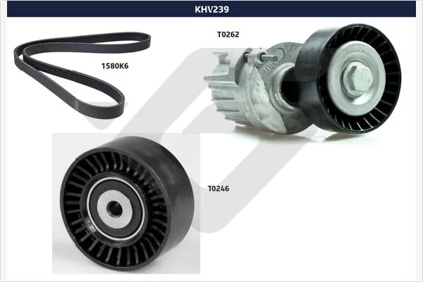 Compre Correia dos conjuntos de transmissão, kit Seat Exeo 