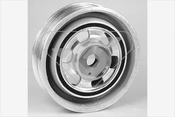 504085756 Iveco Polia de cambota