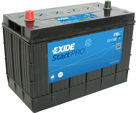 EG110B Exide Bateria recarregável (PILHA)