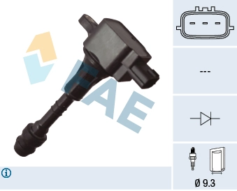 80491 FAE