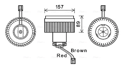 VO8177 AVA