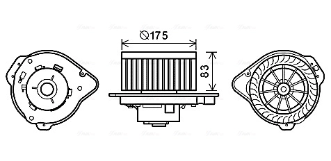 VO8174 AVA