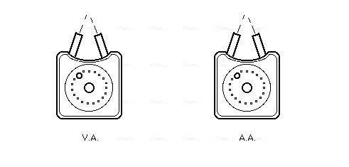 VN3106 AVA