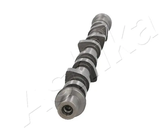  Árvore distribuidora de motor de admissão Nissan Cabstar NT400 plataforma a bordo (F24M) (2006 - 2013) NT400