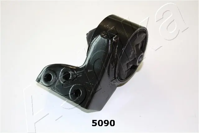 GOM5090 Ashika