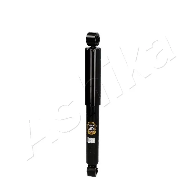 MA01047 Ashika
