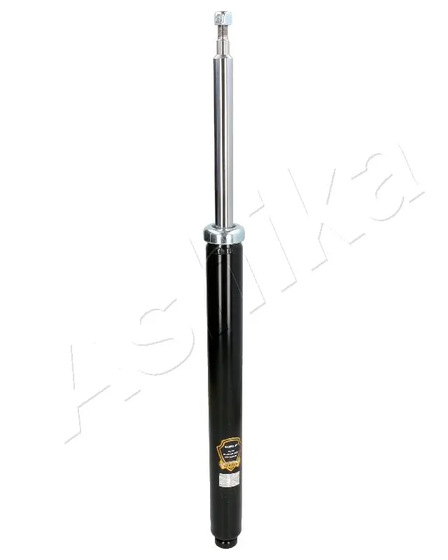 MA00089 Ashika
