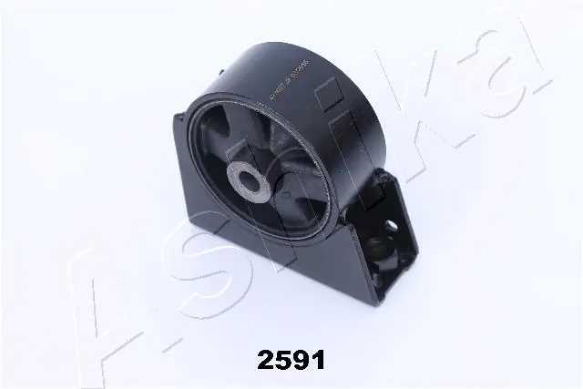 GOM2591 Ashika