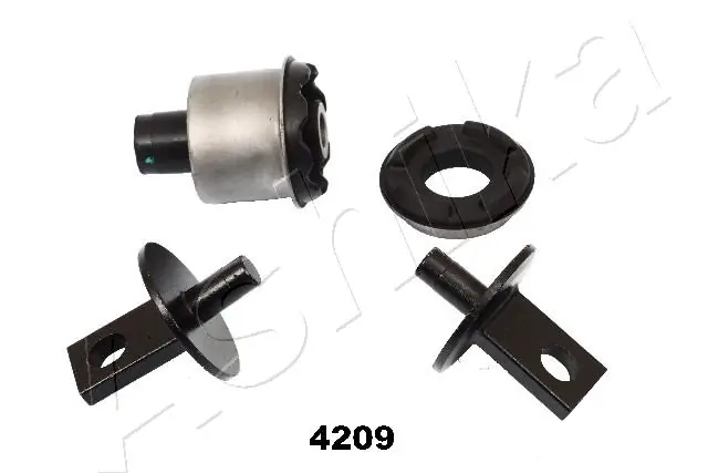 GOM4209 Ashika