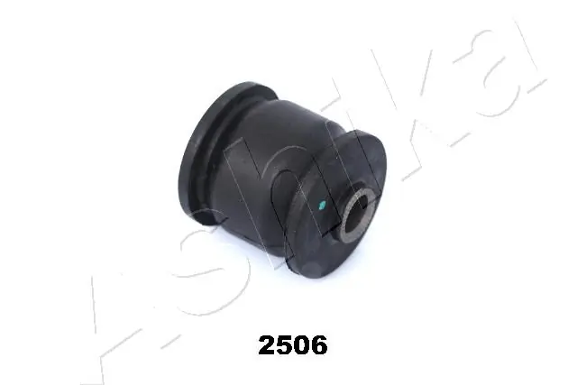 GOM2506 Ashika