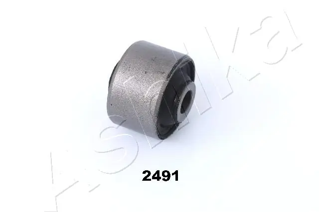 GOM2491 Ashika