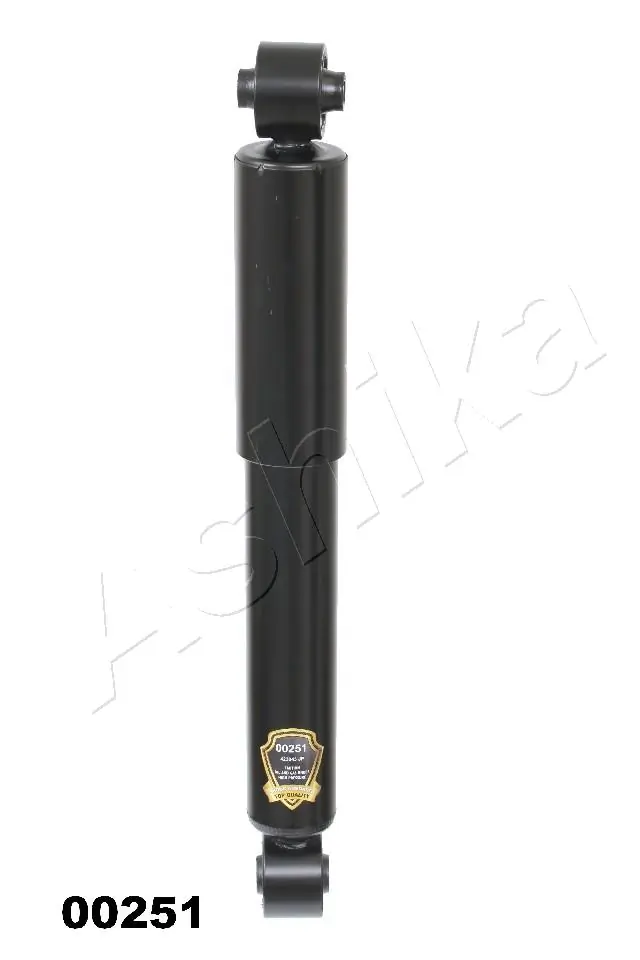 MA00251 Ashika
