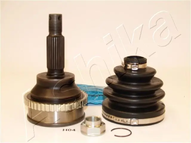 620HH04 Ashika