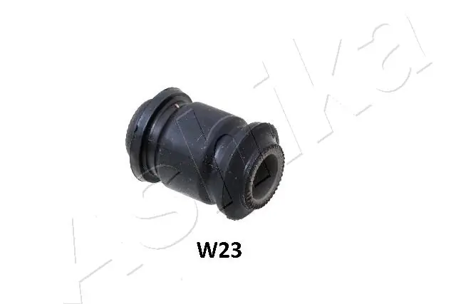 GOMW23 Ashika