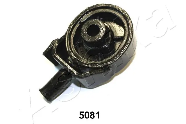 GOM5081 Ashika
