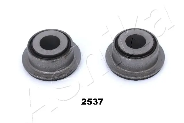 GOM2537 Ashika
