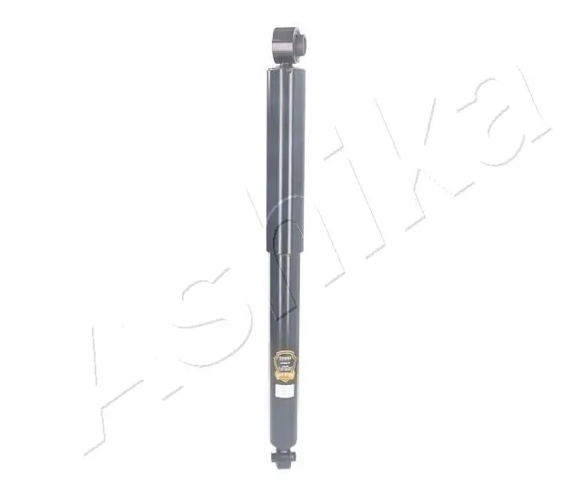 MA33053 Ashika
