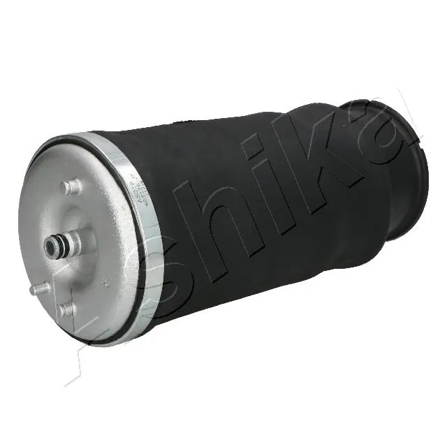 Coxim pneumático (suspensão de lâminas pneumática) do eixo traseiro Amity AP REC10AS0012