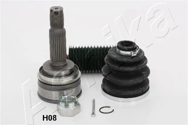 620HH08 Ashika