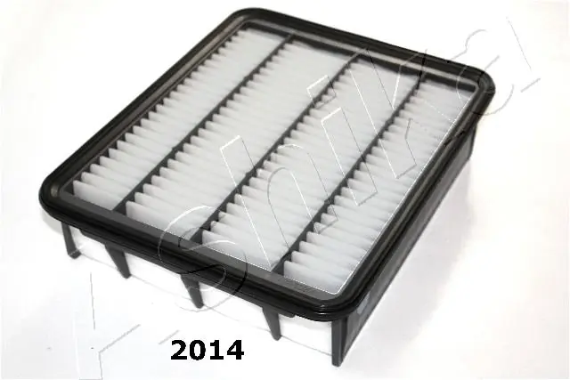 20022014 Ashika