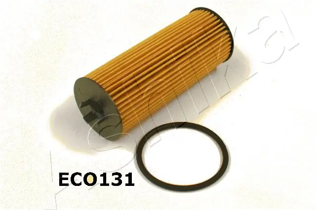 10ECO131 Ashika