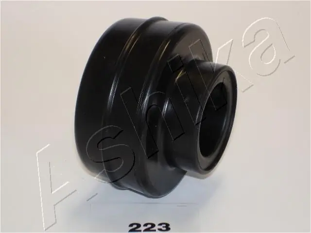 GOM223 Ashika