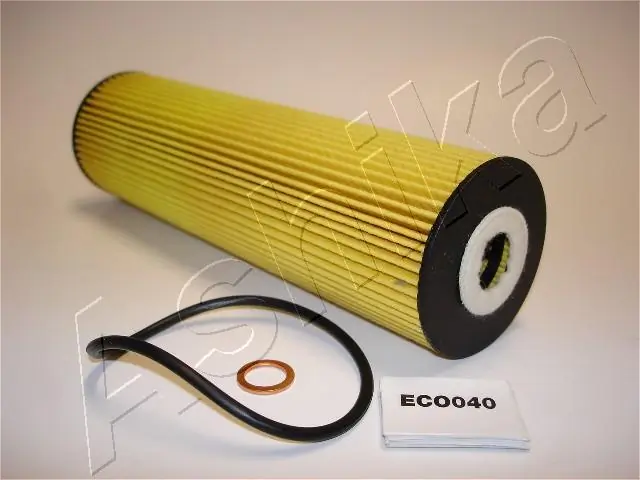 10ECO040 Ashika