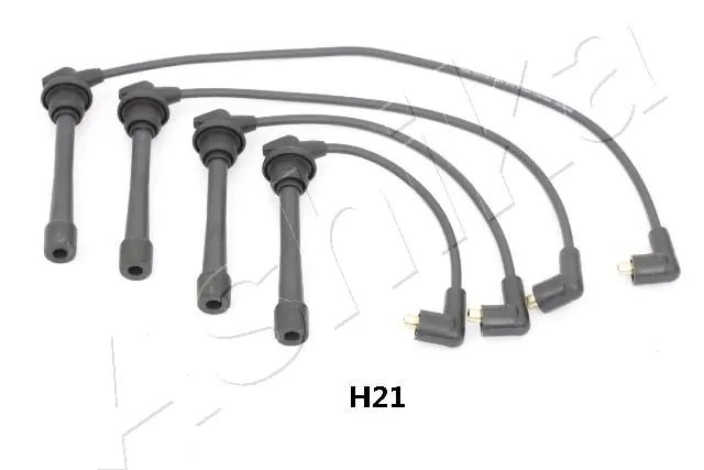 1320HH21 Ashika