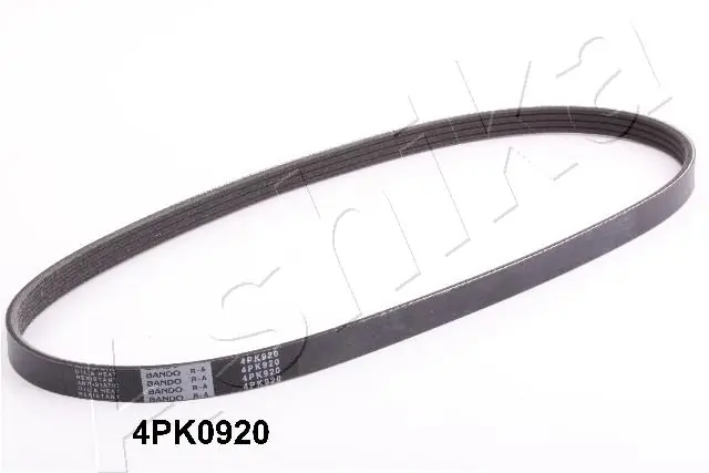 1124PK920 Ashika