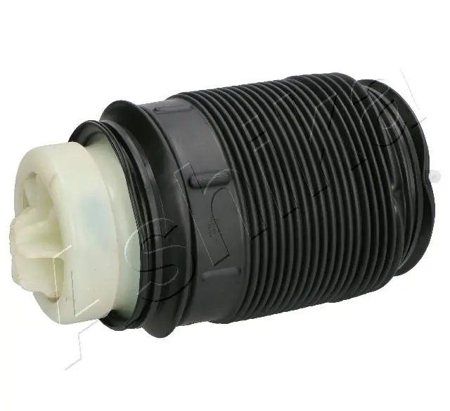 Compre REC34AS0008 Amity AP Coxim pneumático (suspensão de lâminas pneumática) do eixo traseiro