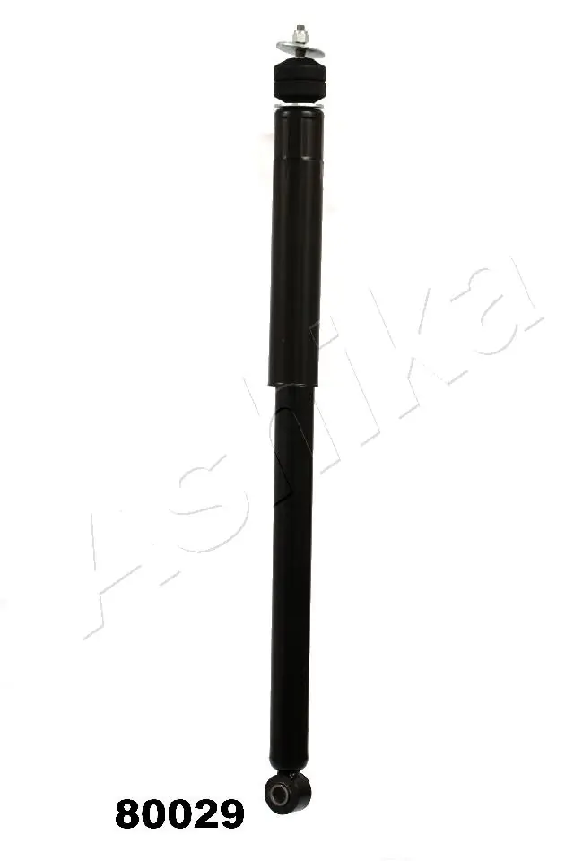 MA80029 Ashika