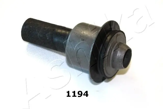 GOM1194 Ashika