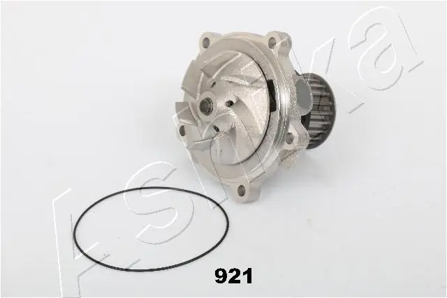  Bomba de água (bomba) de esfriamento Chrysler Voyager III monovolume (RG, RS) (1999 - 2008) III