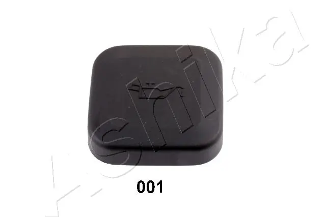 14700001 Ashika