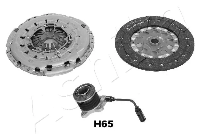 920HH65 Ashika
