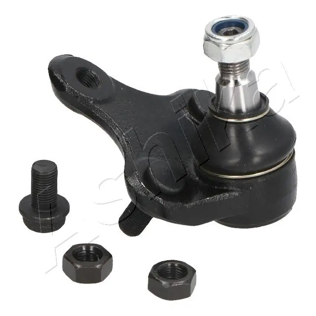 7302241 Ashika