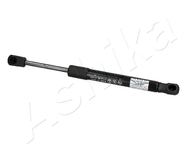 ZSA10001 Ashika
