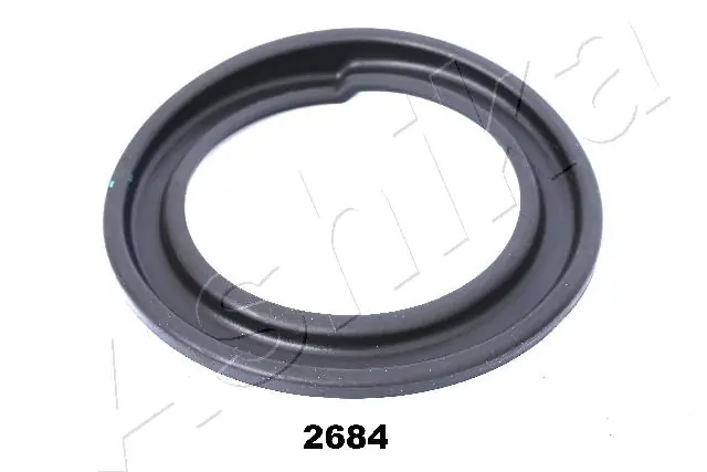 GOM2684 Ashika