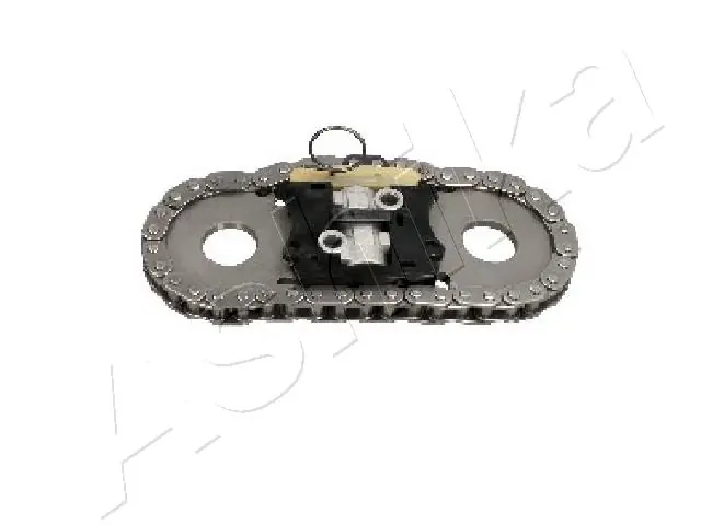504288857 Iveco Cadeia do mecanismo de distribuição de gás, kit
