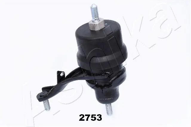 GOM2753 Ashika