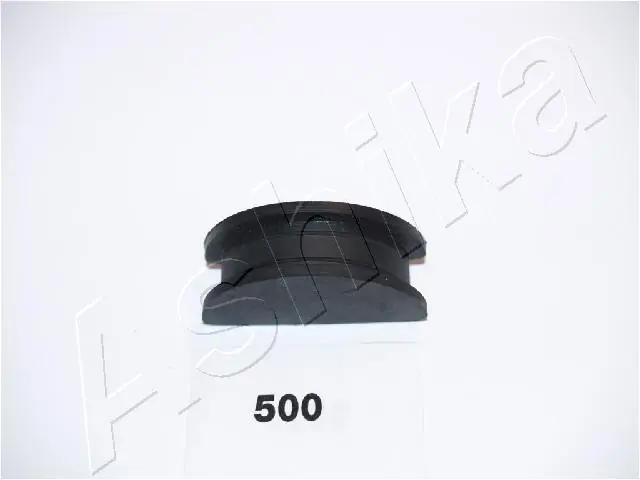 4205500 Ashika