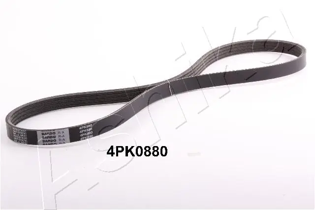 1124PK880 Ashika