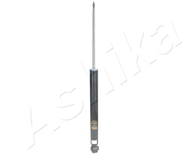 MA33052 Ashika