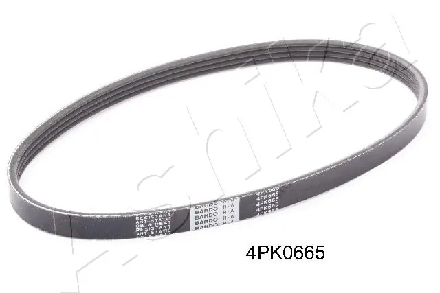 1124PK665 Ashika