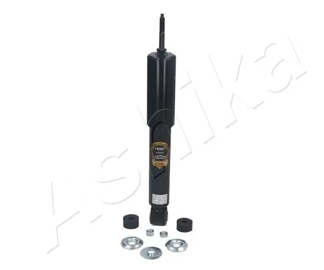 MA15507 Ashika