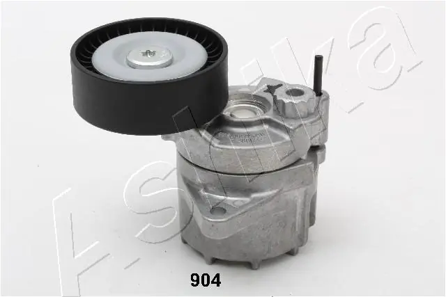 12809904 Ashika