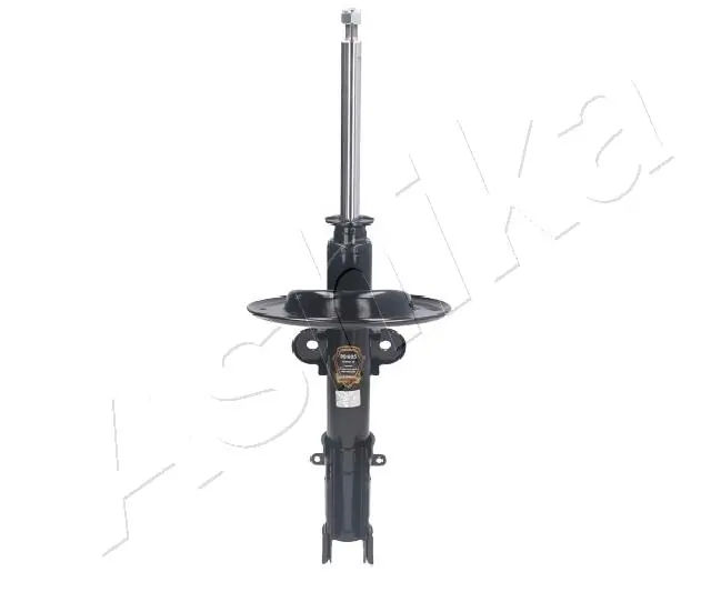 MA90005 Ashika