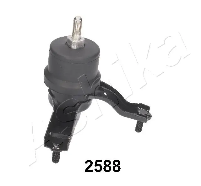 GOM2588 Ashika