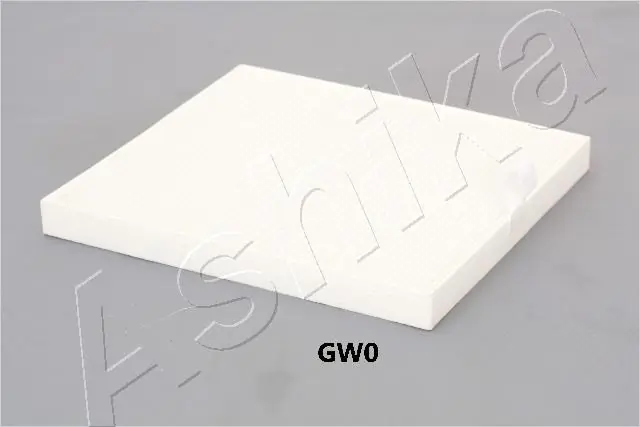 21GWGW0 Ashika
