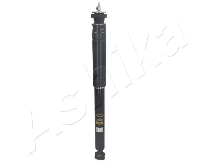 MA00291 Ashika